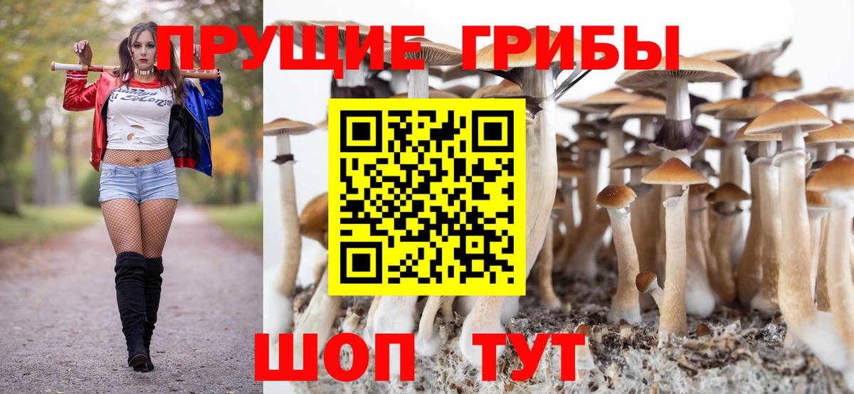 Псилоцибиновые грибы MAGIC MUSHROOMS Пенза